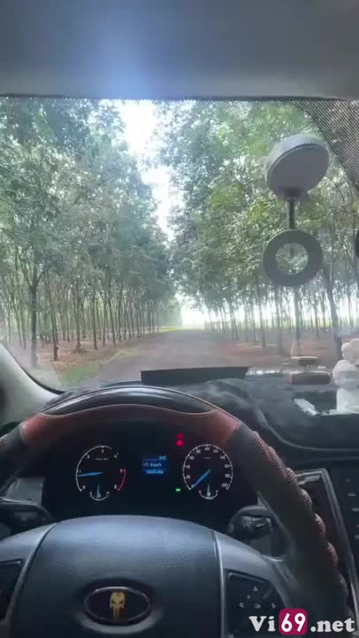 Dừng xe ở vườn cao su để em bú cu thỏa mãn cơn nứng