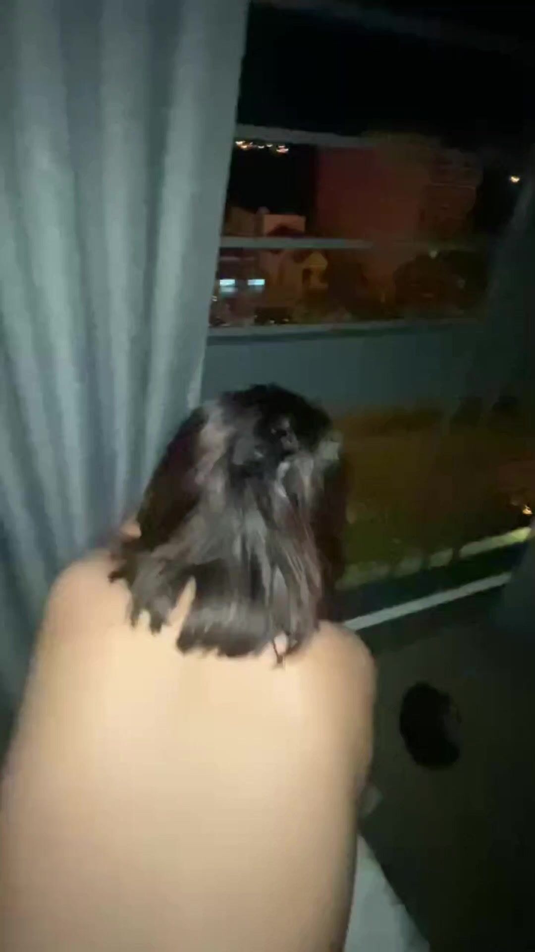 Bé 2k4 trốn nhà đi qua đêm với trai em còn ngại ngùng