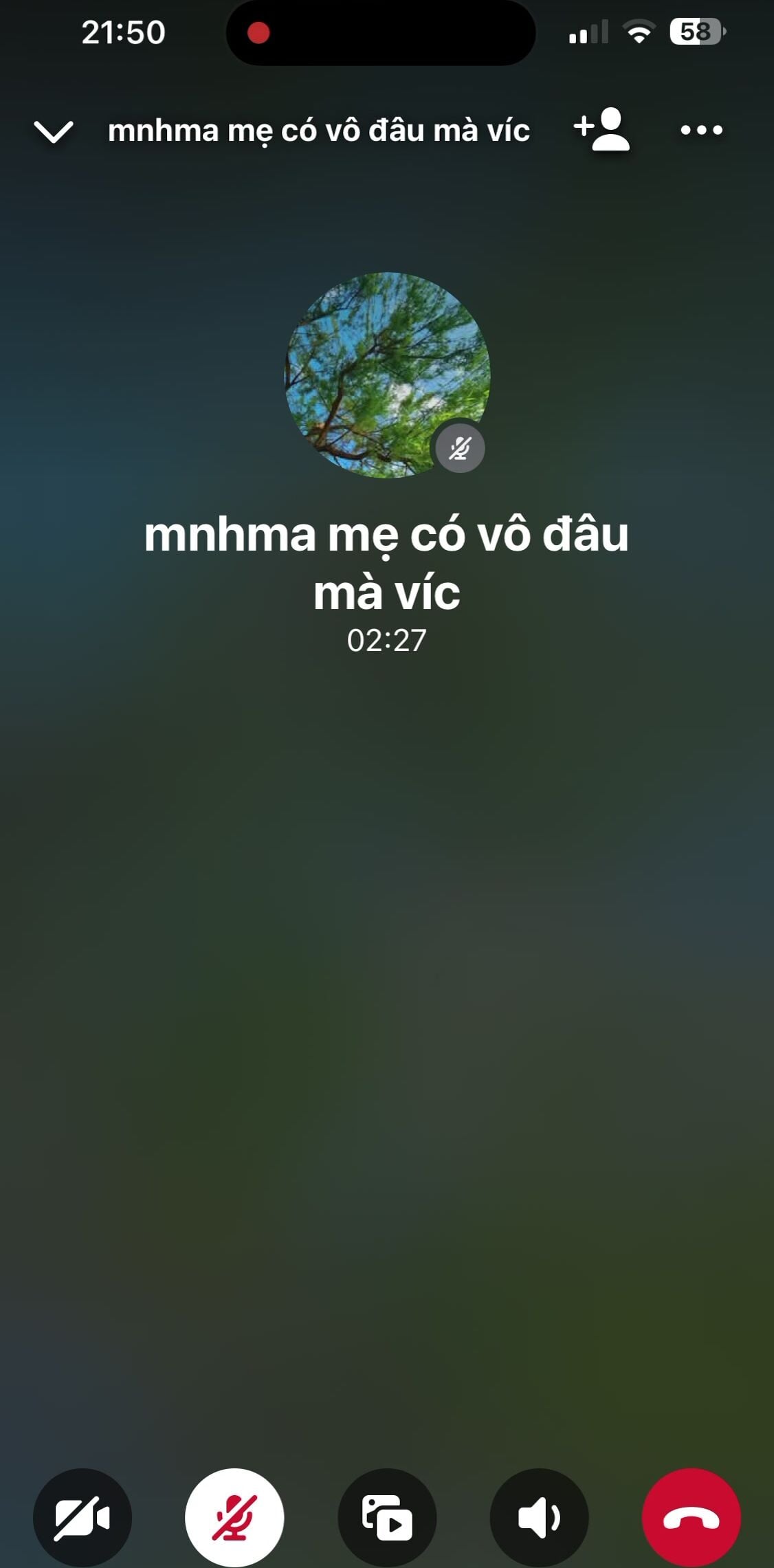 P2 cho ah em nhỏ 2k4 ngây thơ nhma tỉnh