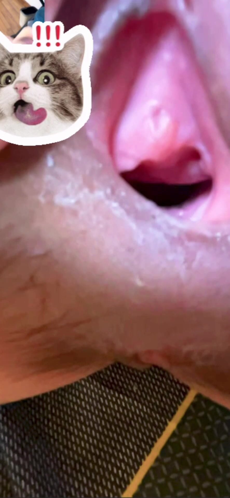 Hành trình yêu xa với em người yêu mình dây lồn múp
